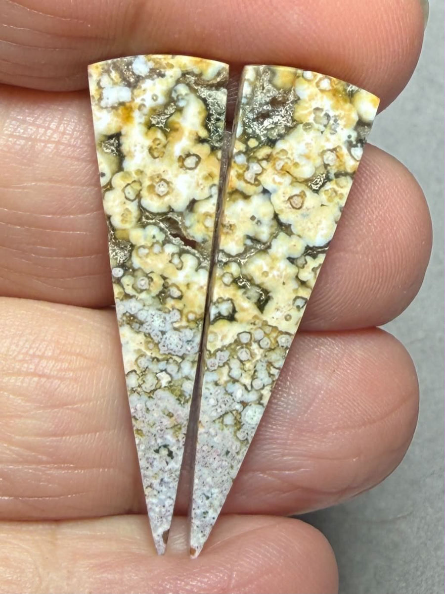 Freeform 38x10mm Ocean Jasper Cabochon Pair 51