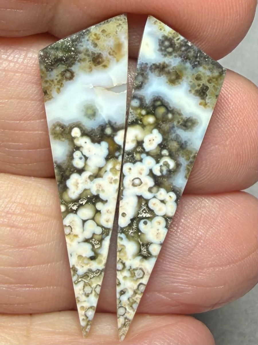 Freeform 37x10mm Ocean Jasper Cabochon Pair 54