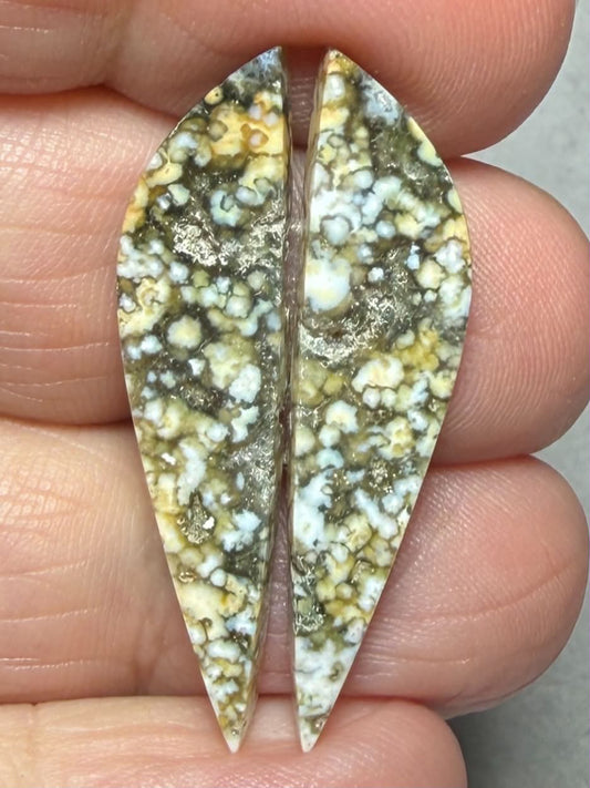 Freeform 34x8mm Ocean Jasper Cabochon Pair 59