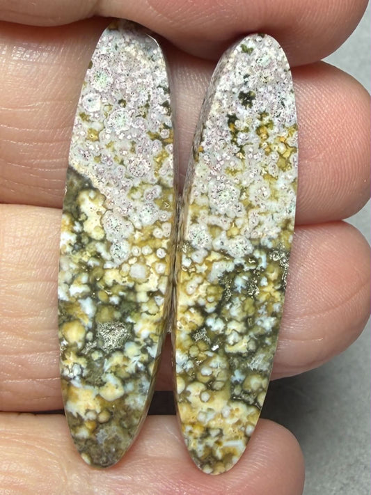 Oval 39x10mm Ocean Jasper Cabochon Pair 61