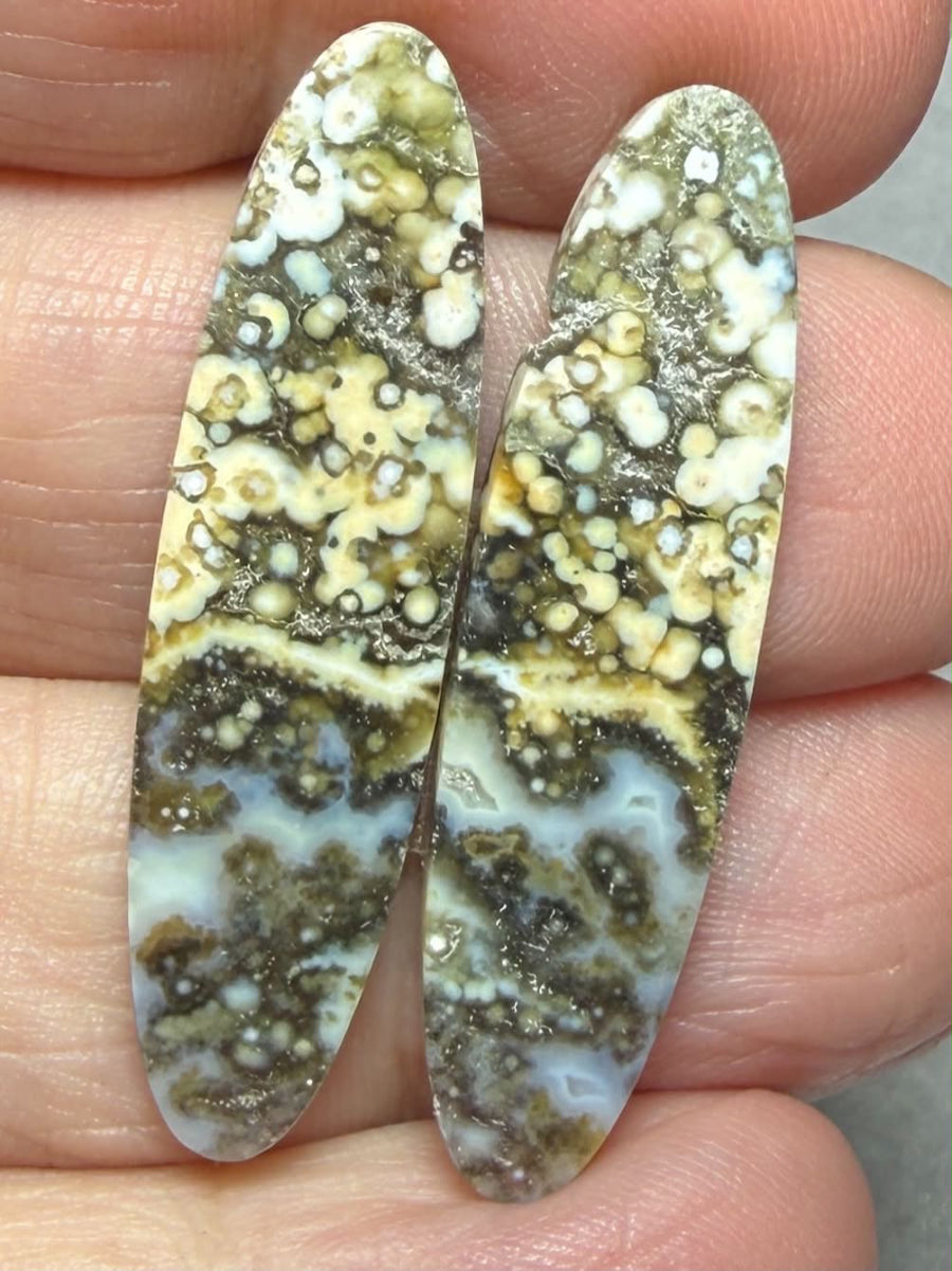 Oval 37x10mm Ocean Jasper Cabochon Pair 63