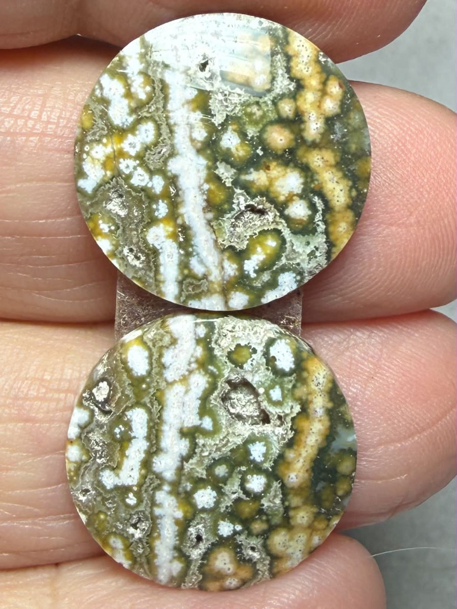 Round 18x18mm Ocean Jasper Cabochon Pair 66