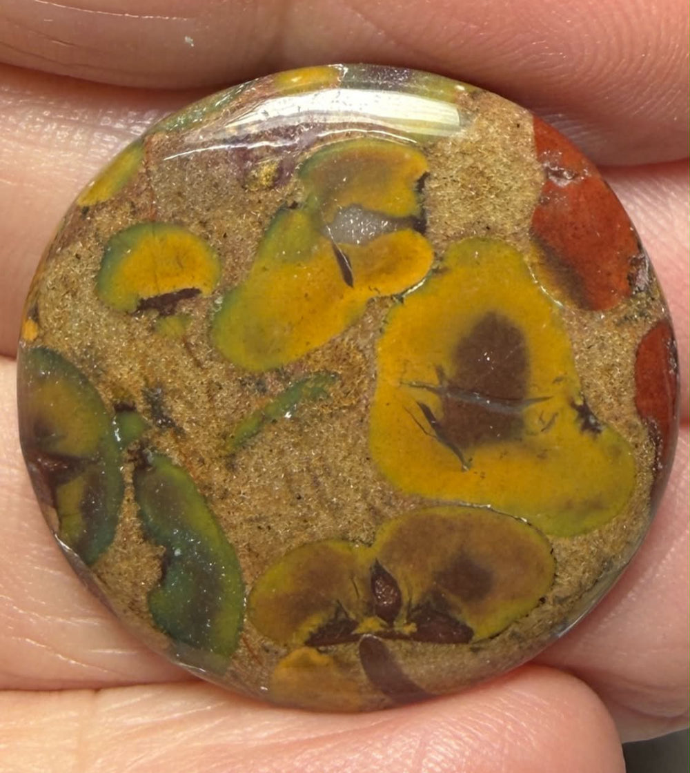 Round 27x27mm Fruit Jasper Cabochon 43