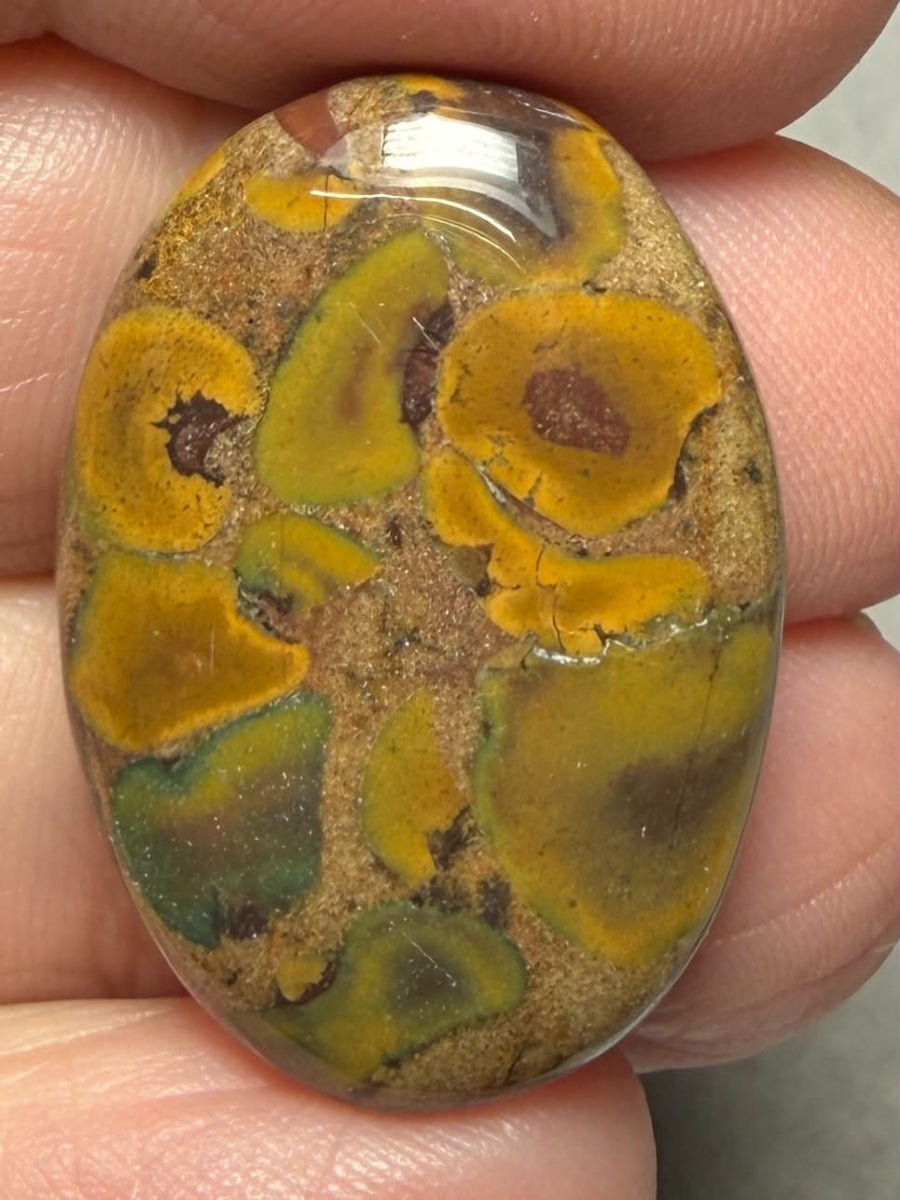 Oval 28x19mm Fruit Jasper Cabochon 49