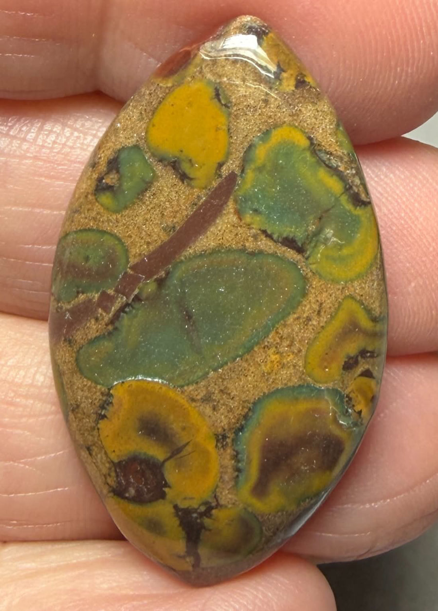 Marquise 37x21mm Fruit Jasper Cabochon 52