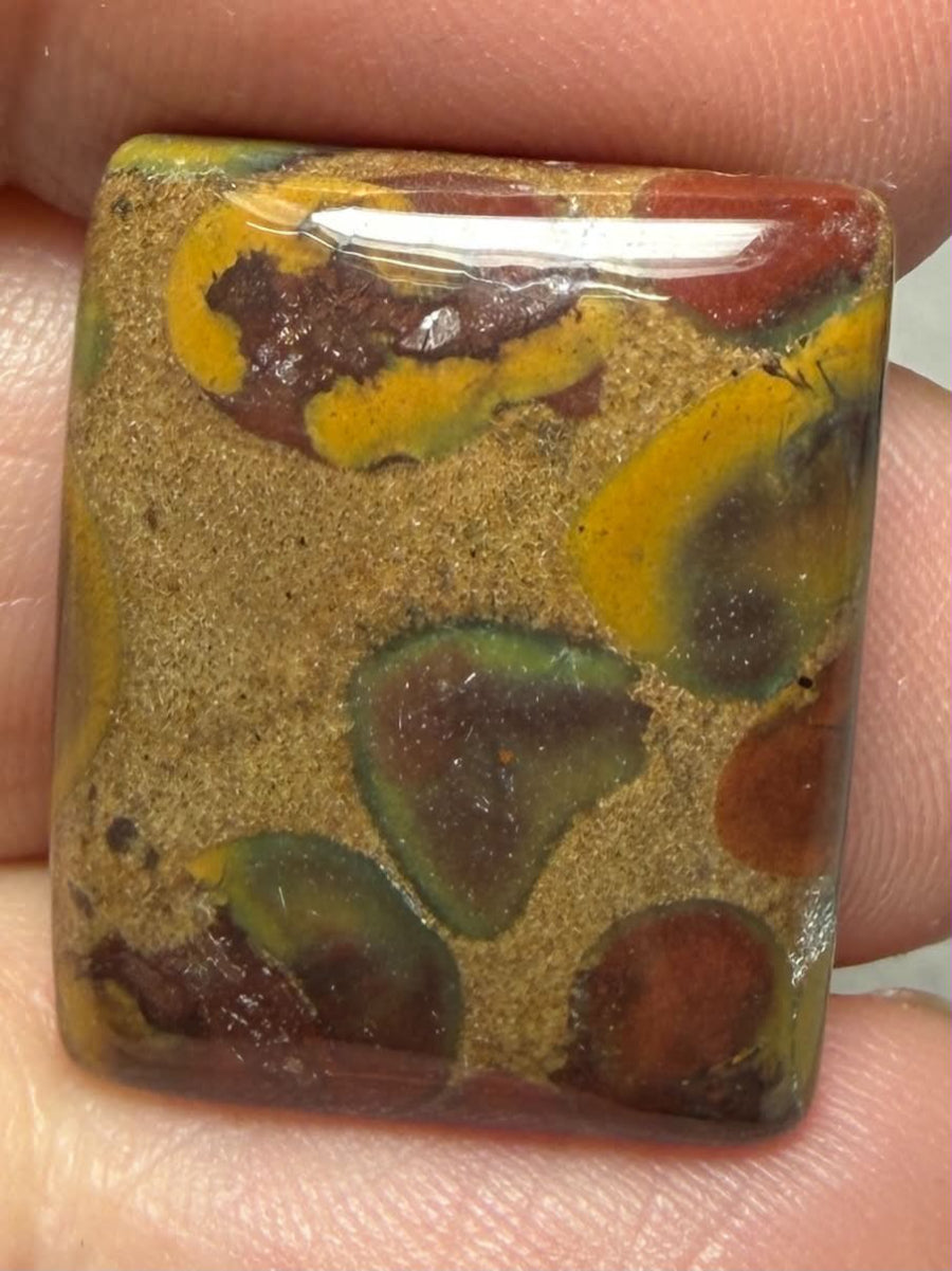 Rectangle 22x18mm Fruit Jasper Cabochon 54