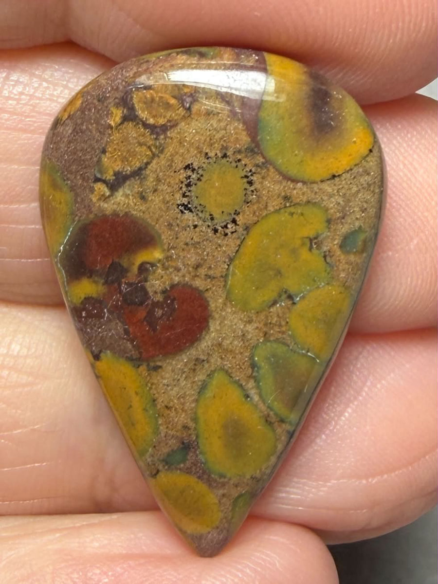 Teardrop 31x20mm Fruit Jasper Cabochon 60