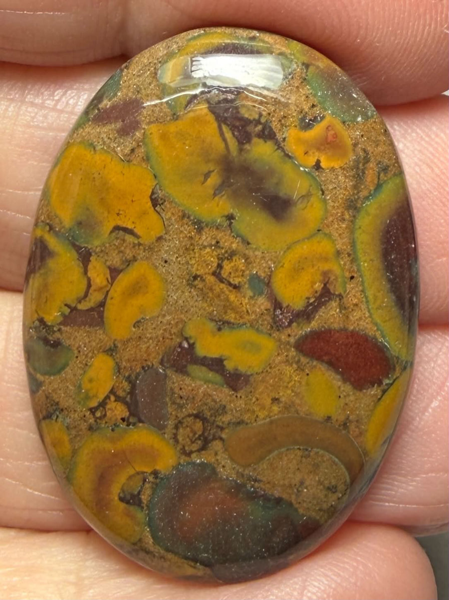 Oval 34x24mm Fruit Jasper Cabochon 61
