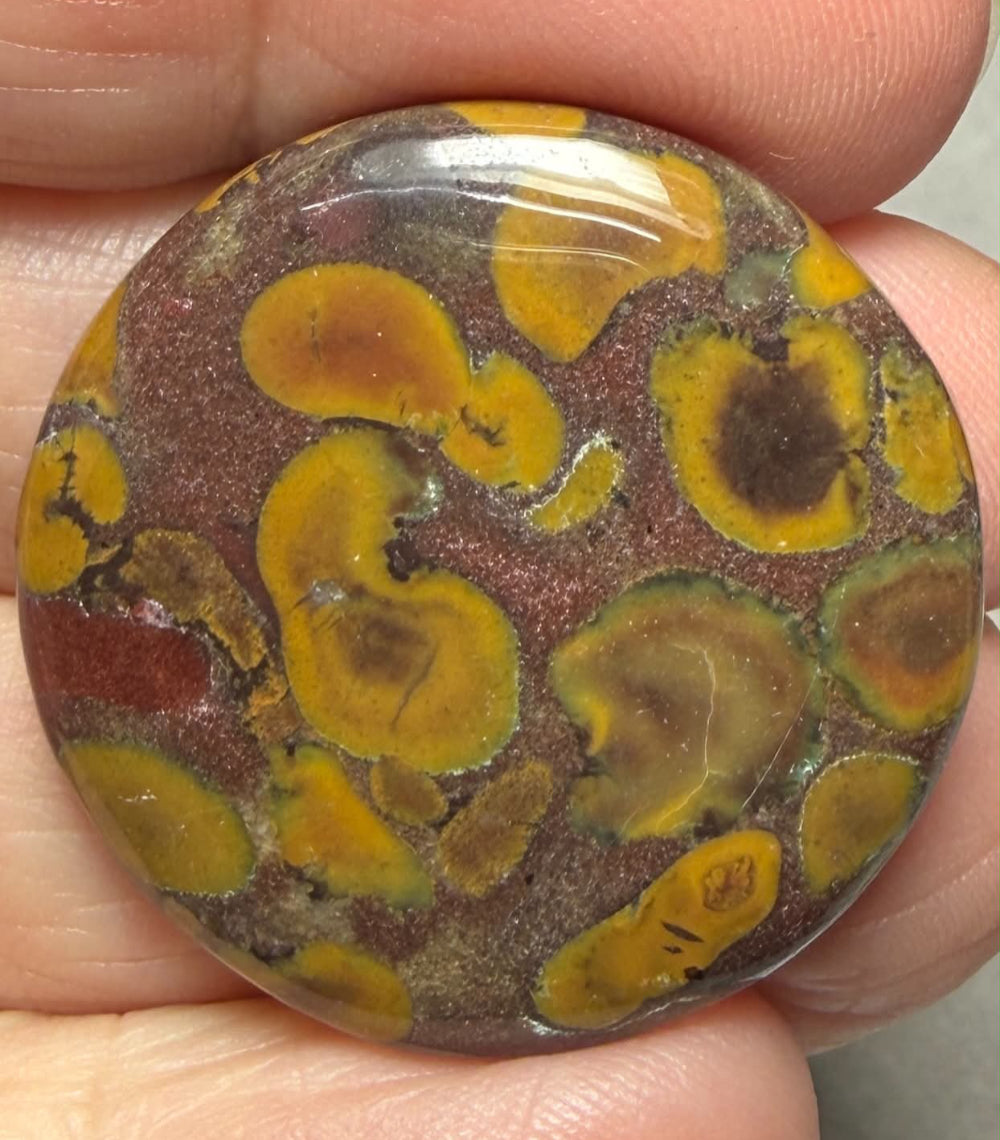 Round 30x30mm Fruit Jasper Cabochon 67