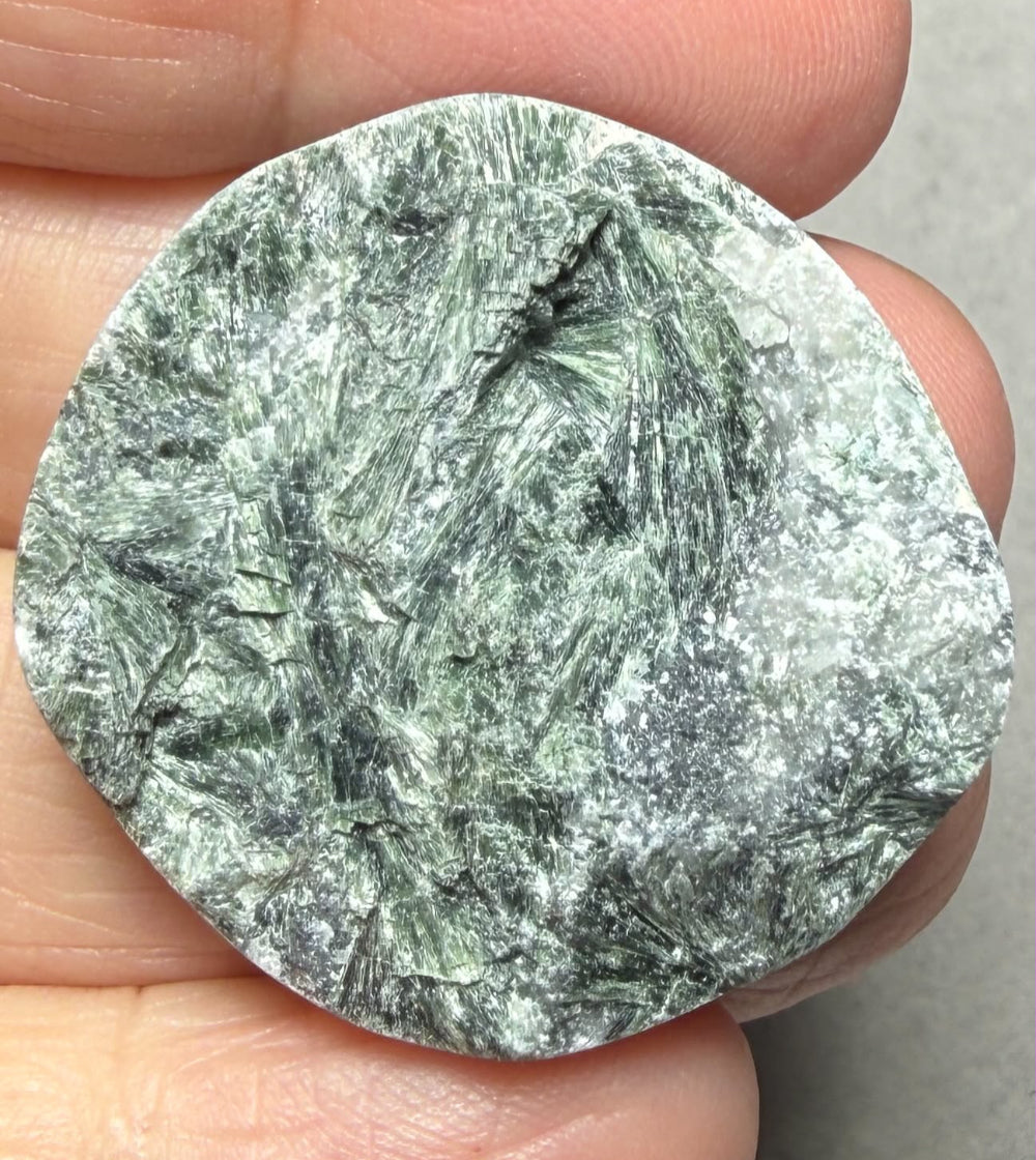 Round 32x32mm Actinolite Cabochon 20