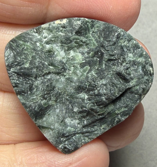 Teardrop 31x34mm Actinolite Cabochon 22