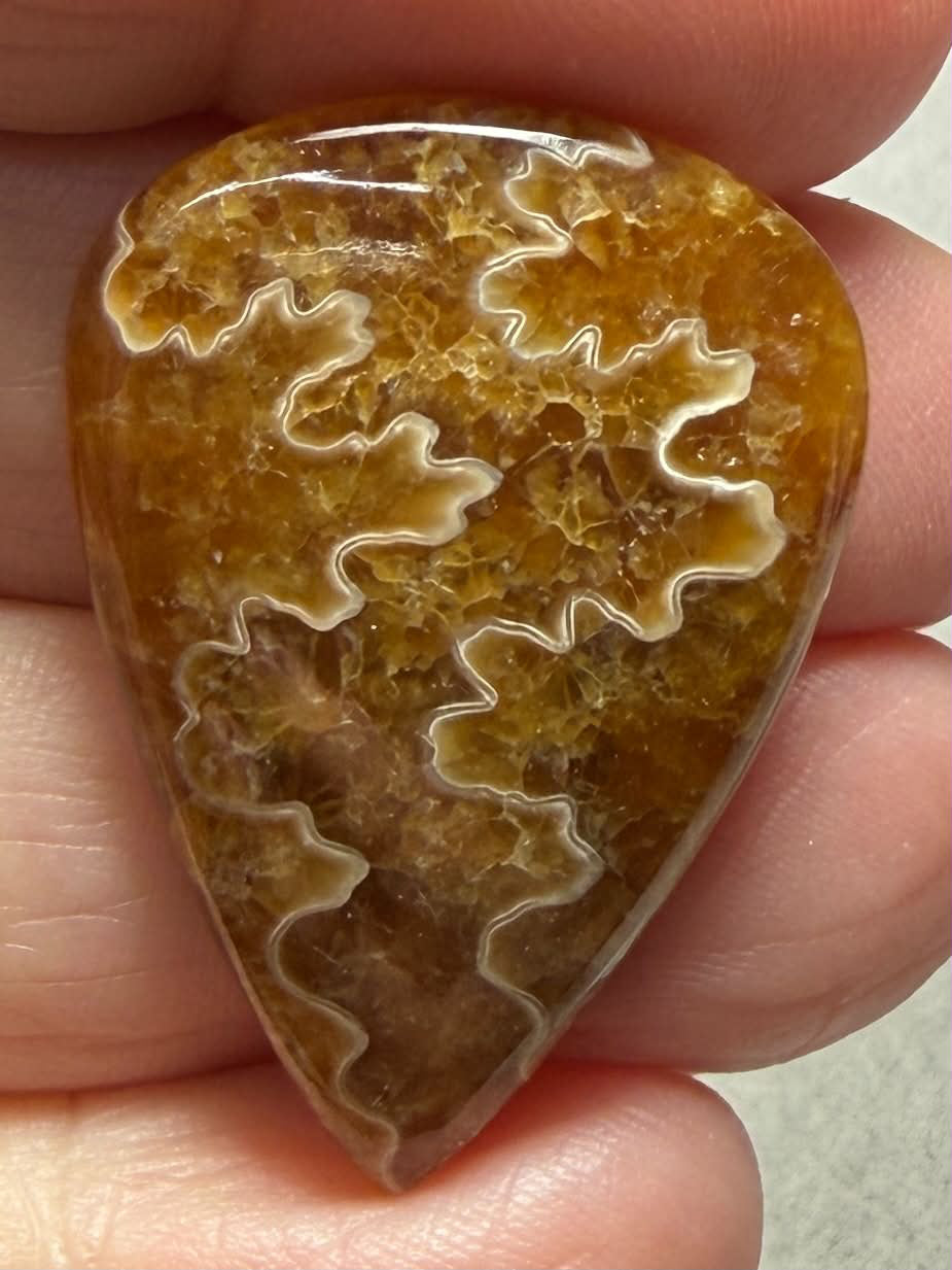 Teardrop 34x24mm Sutured Ammonite Cabochon 05