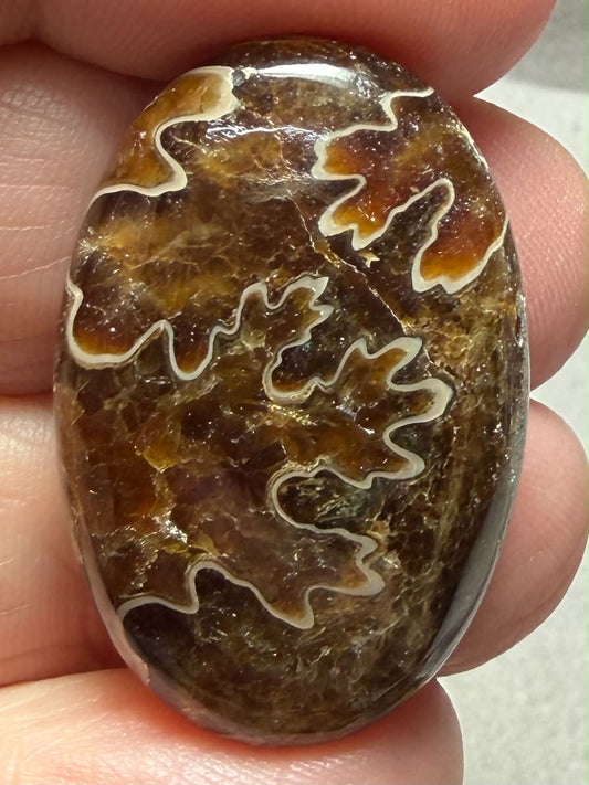 Oval 32x21mm Sutured Ammonite Cabochon 06