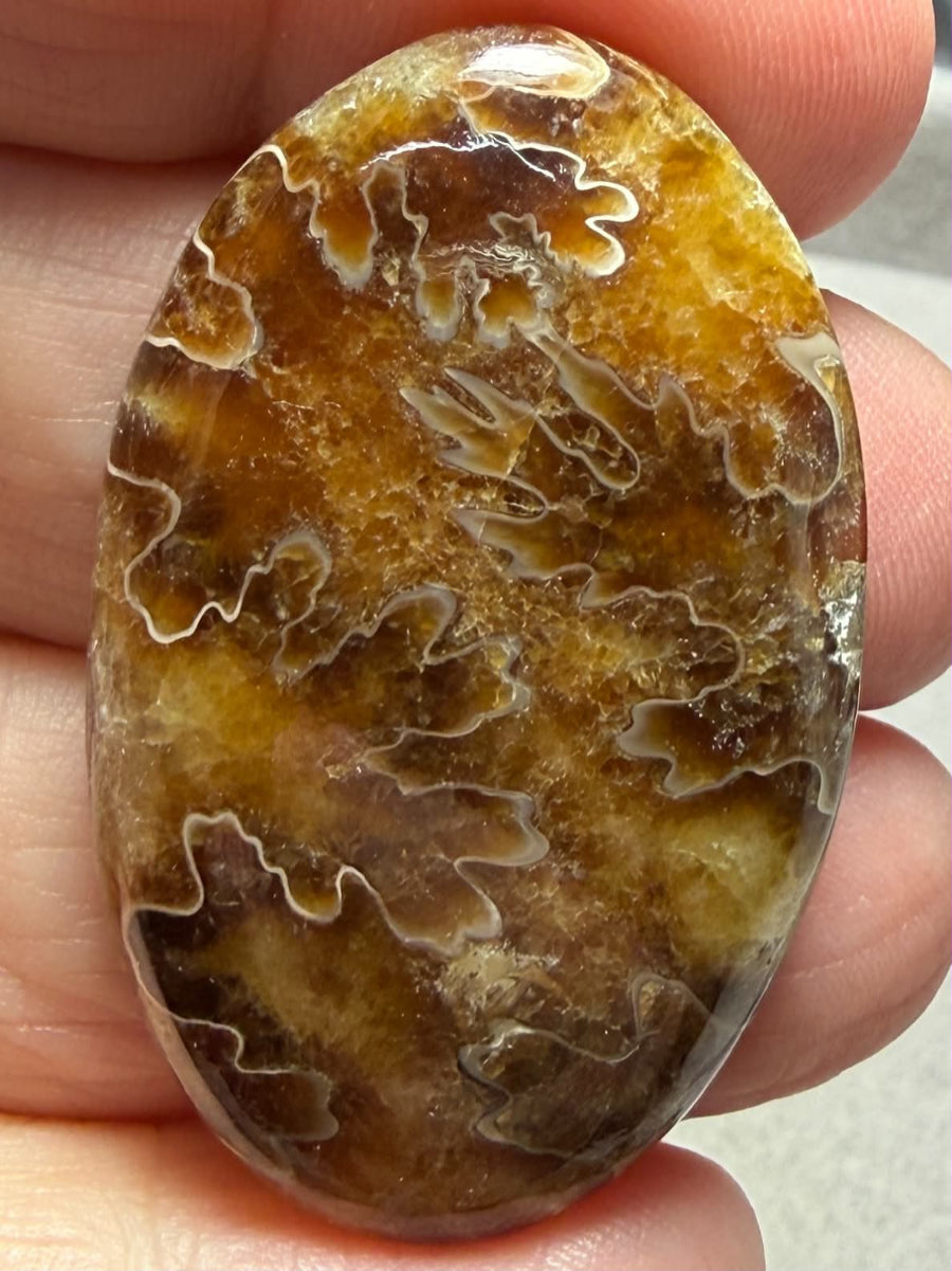 Oval 42x26mm Sutured Ammonite Cabochon 08
