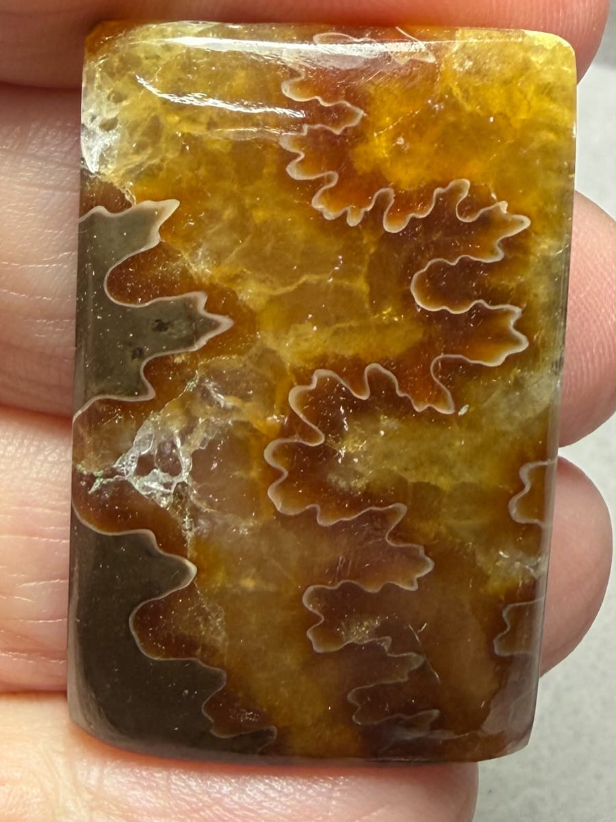 Rectangle 38x24mm Sutured Ammonite Cabochon 09