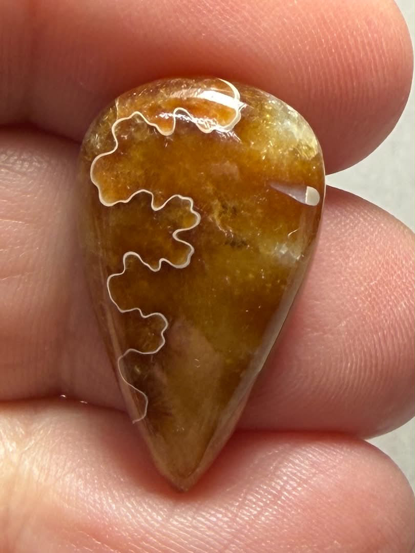 Teardrop 25x15mm Sutured Ammonite Cabochon 11