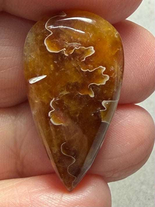 Teardrop 30x16mm Sutured Ammonite Cabochon 12