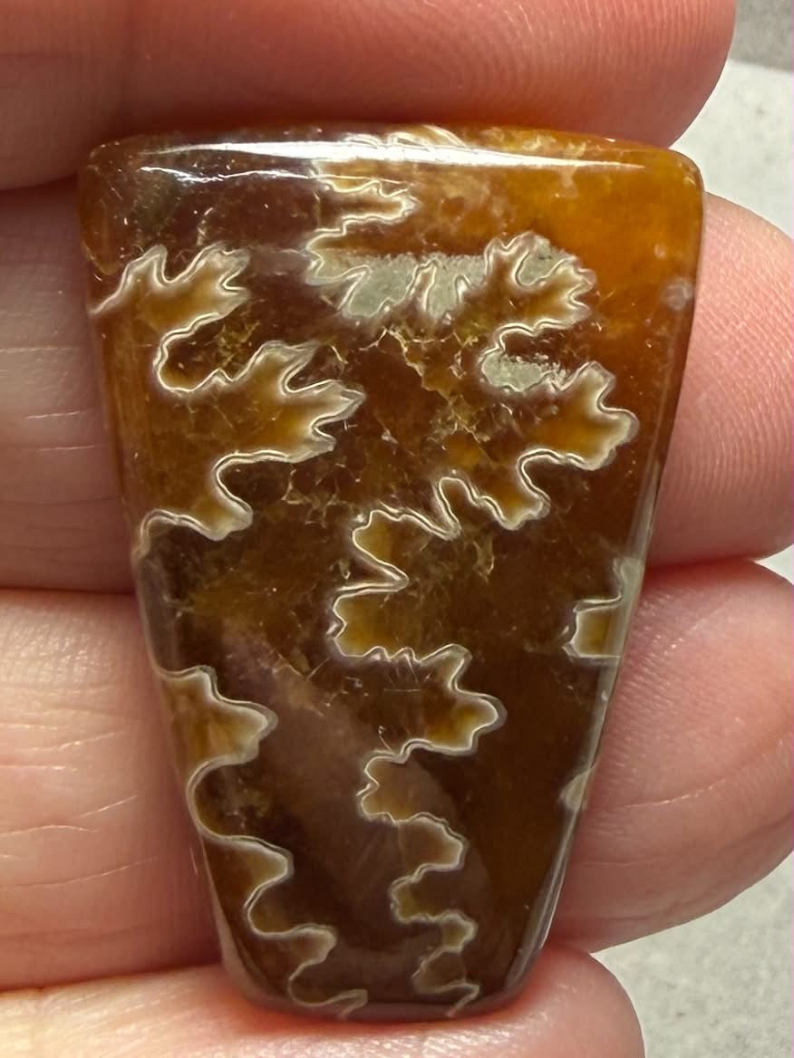 Freeform 33x23mm Sutured Ammonite Cabochon 22
