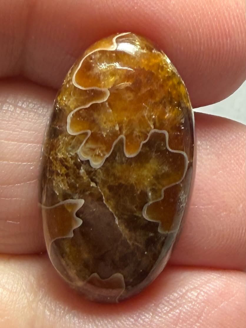 Oval 26x15mm Sutured Ammonite Cabochon 34