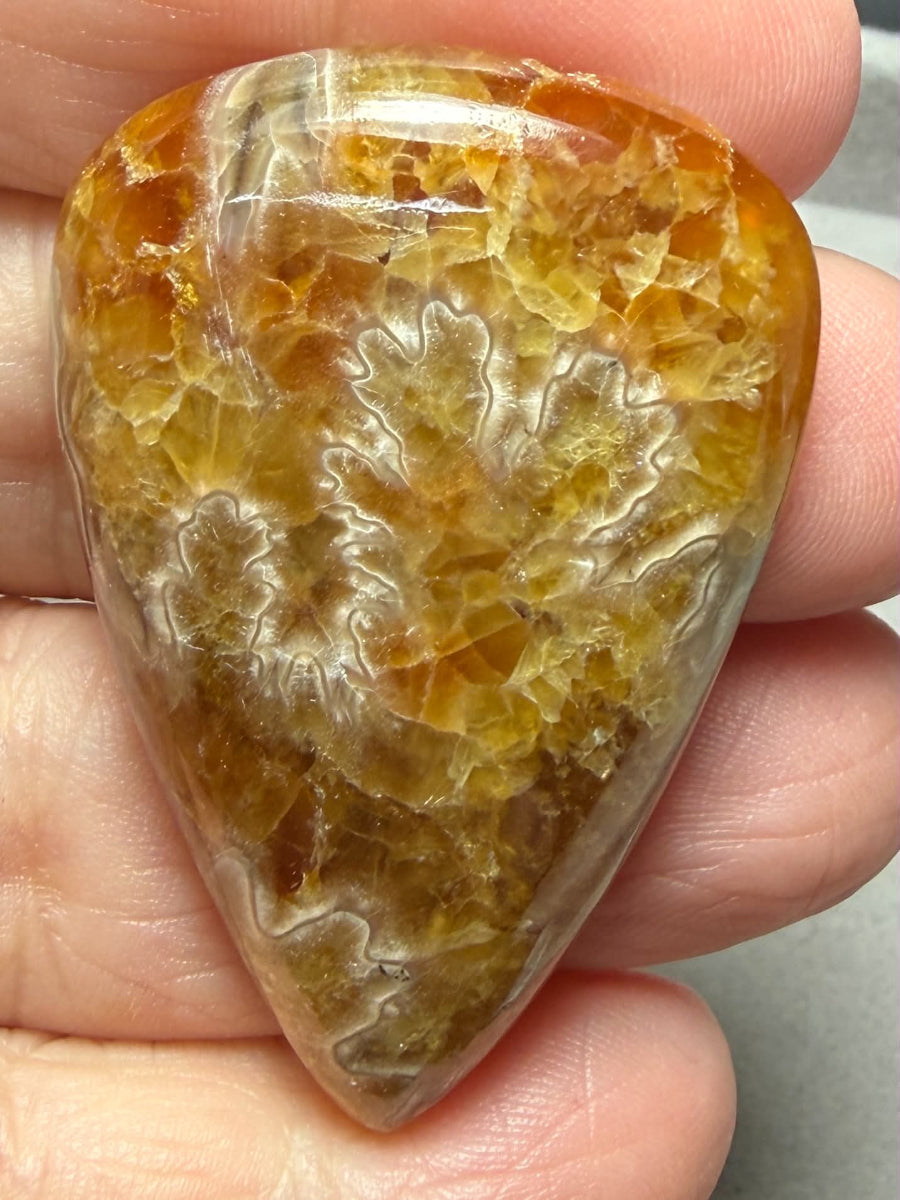 Teardrop 47x32mm Sutured Ammonite Cabochon 35