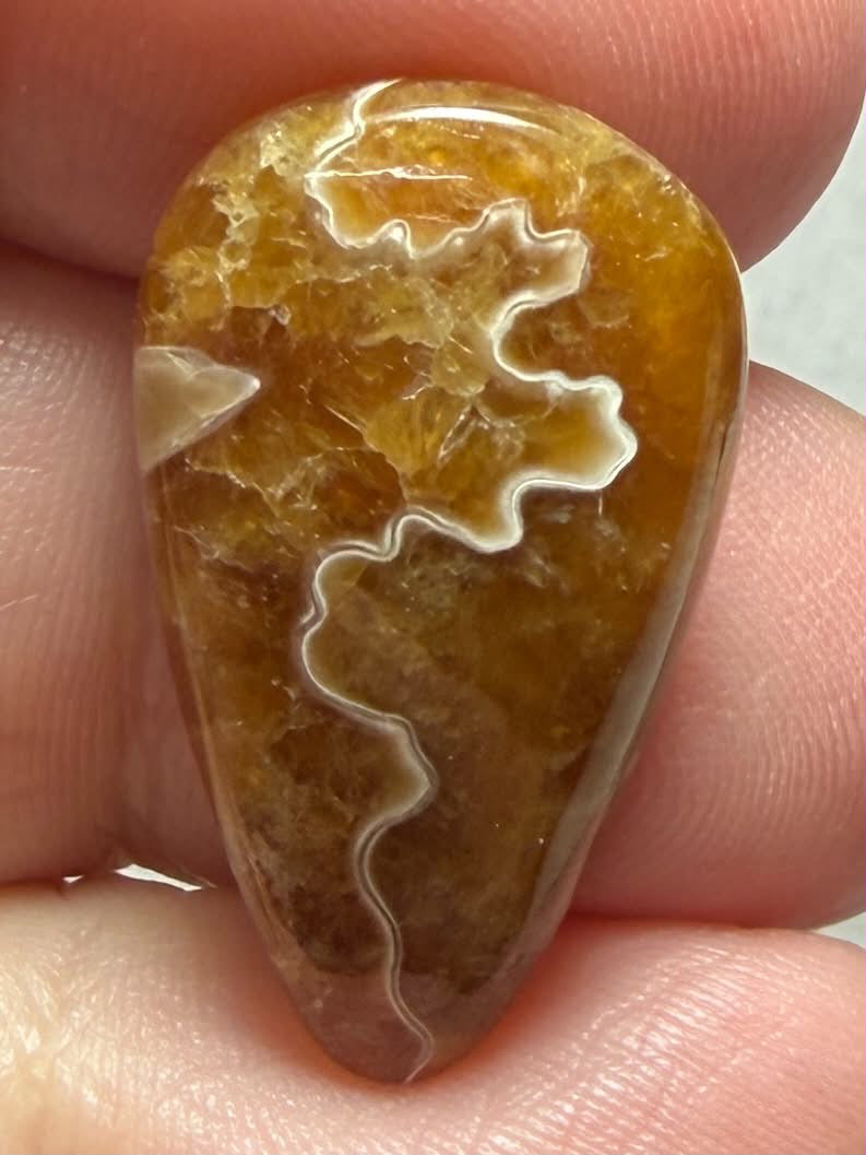 Freeform 26x15mm Sutured Ammonite Cabochon 37
