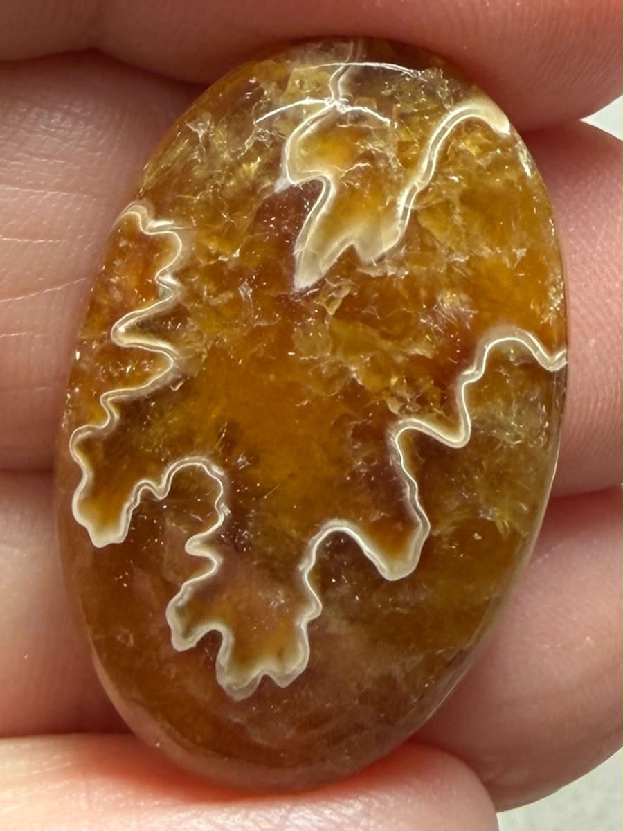 Oval 29x19mm Sutured Ammonite Cabochon 39