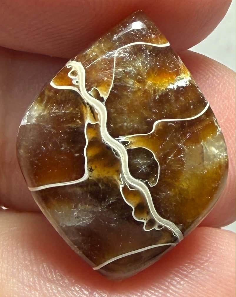 Freeform 22x17mm Sutured Ammonite Cabochon 40