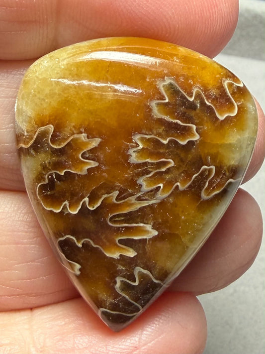 Teardrop 36x29mm Sutured Ammonite Cabochon 41