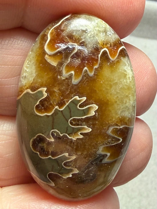 Oval 34x22mm Sutured Ammonite Cabochon 47