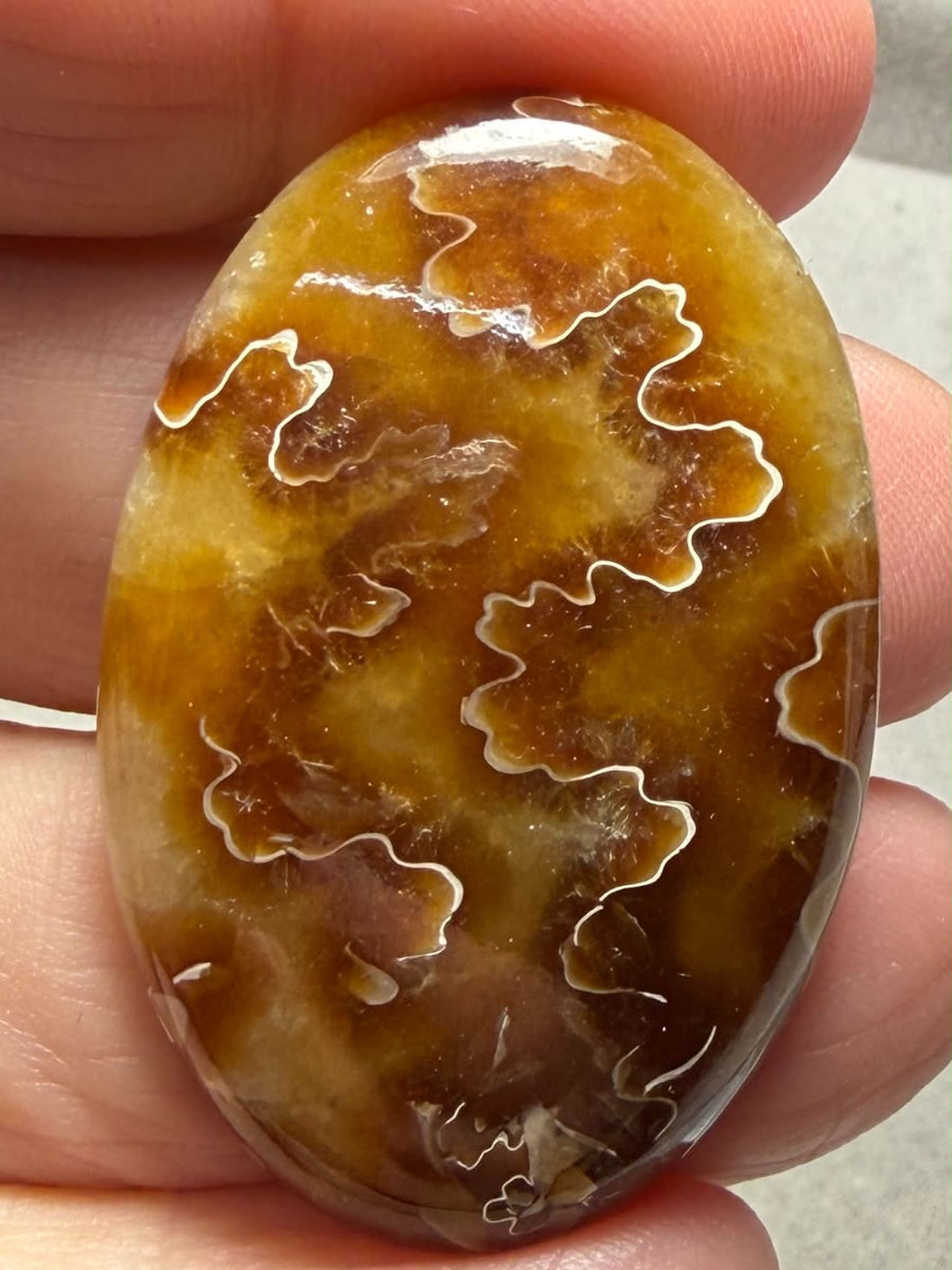 Oval 42x28mm Sutured Ammonite Cabochon 50