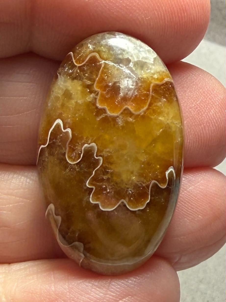 Oval 31x19mm Sutured Ammonite Cabochon 53