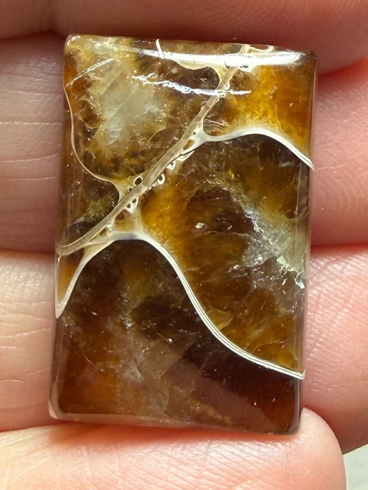 Rectangle 24x16mm Sutured Ammonite Cabochon 54