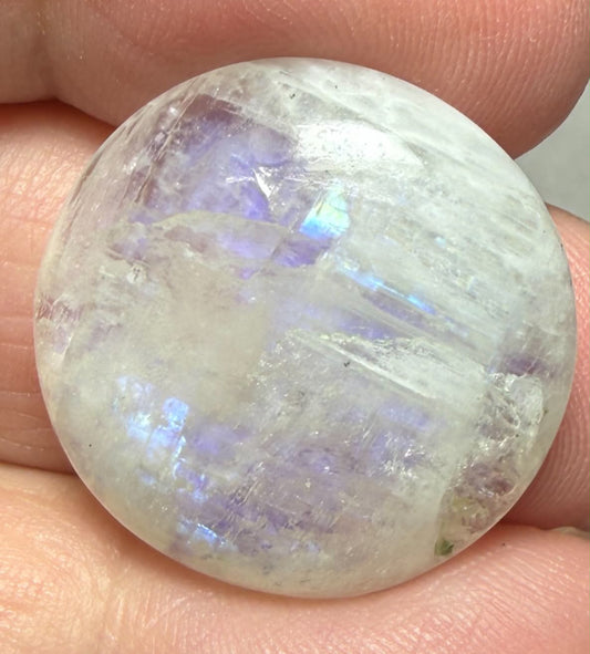 Round 23x23mm Rainbow Moonstone Cabochon 79